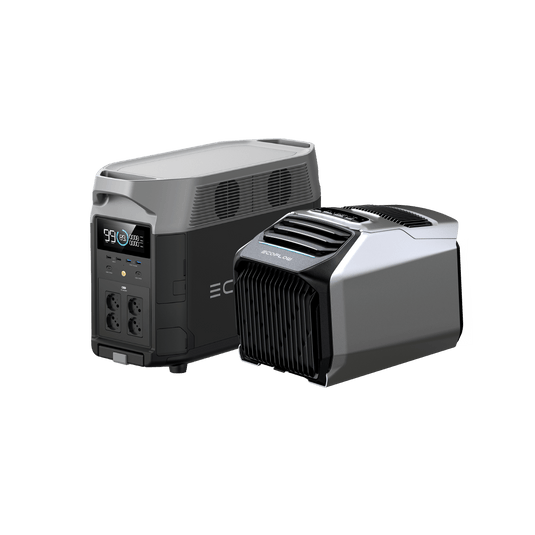 EcoFlow WAVE 2 + EcoFlow DELTA Pro  EcoFlow Italia   